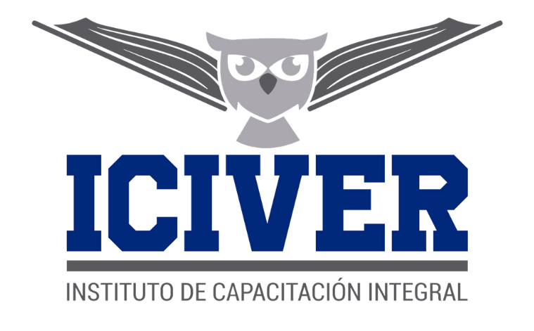 LOGO ICIVER
